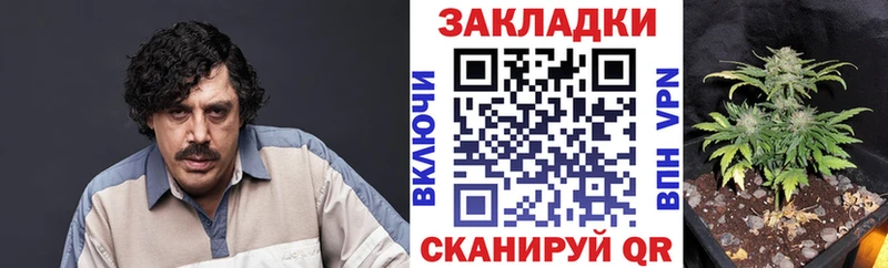 Где продают наркотики Верхний Уфалей Гашиш  Экстази  Меф мяу мяу  Канабис  Метадон  СК  АМФ  Кокаин  Галлюциногенные грибы 