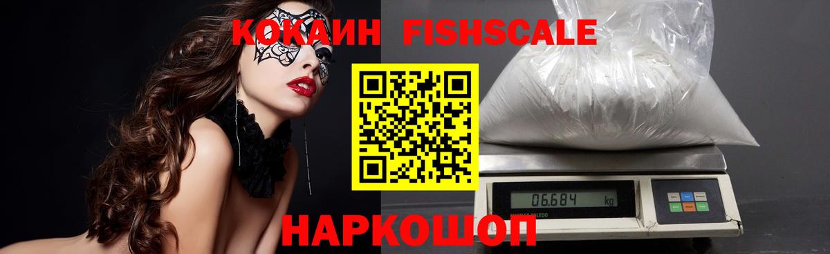 магазин продажи наркотиков  Верхний Уфалей  Кокаин FishScale 