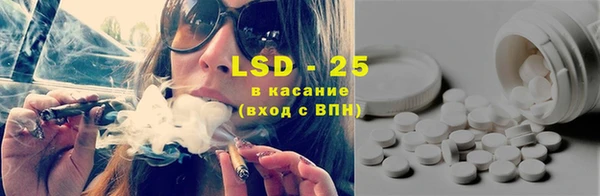 дживик Белокуриха