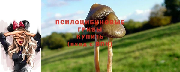 дживик Белокуриха