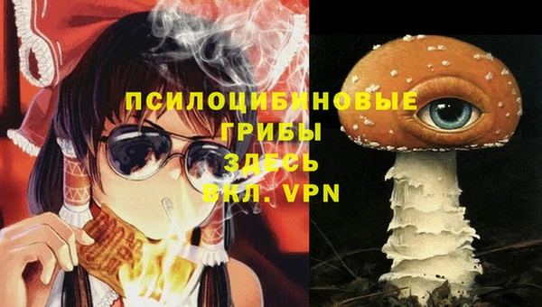 стафф Белоозёрский