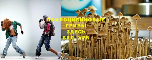 дживик Белокуриха