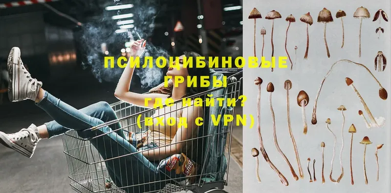 Псилоцибиновые грибы MAGIC MUSHROOMS  сайты даркнета состав  Верхний Уфалей  blacksprut онион 