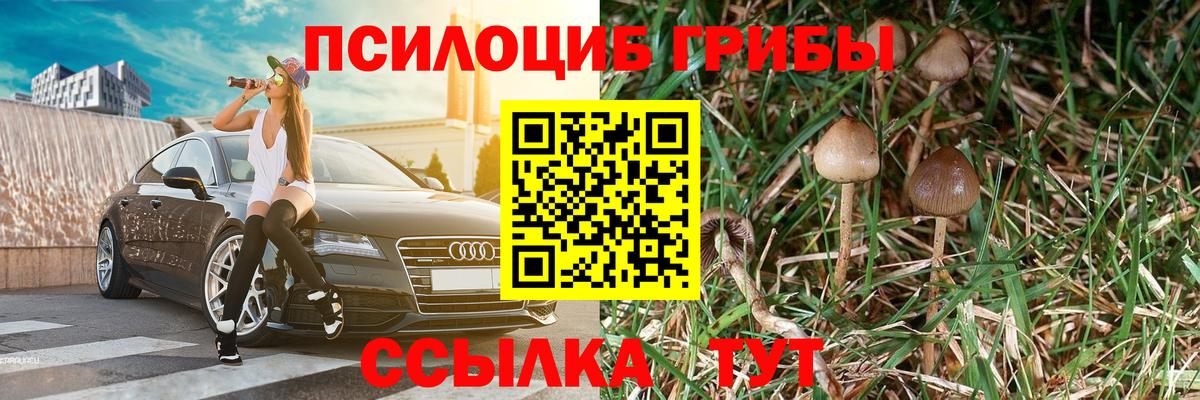 Галлюциногенные грибы Cubensis Верхний Уфалей