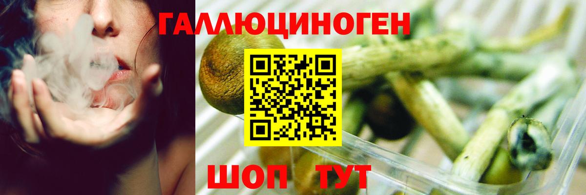 Псилоцибиновые грибы GOLDEN TEACHER  даркнет сайт  Верхний Уфалей  Вход с VPN 